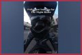 Night Rider Arrested, What Happened To Night Rider?